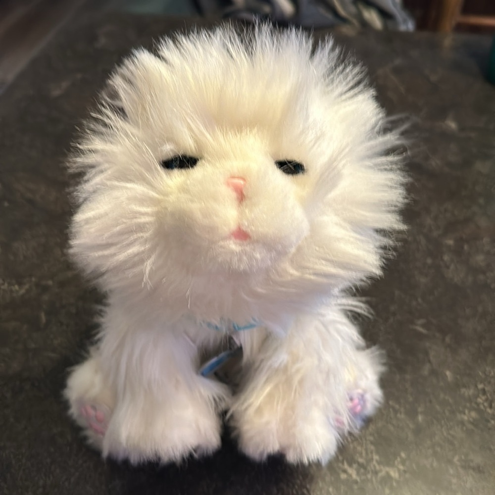 Live little pets "cuddles" 🐈‍⬛ kitty